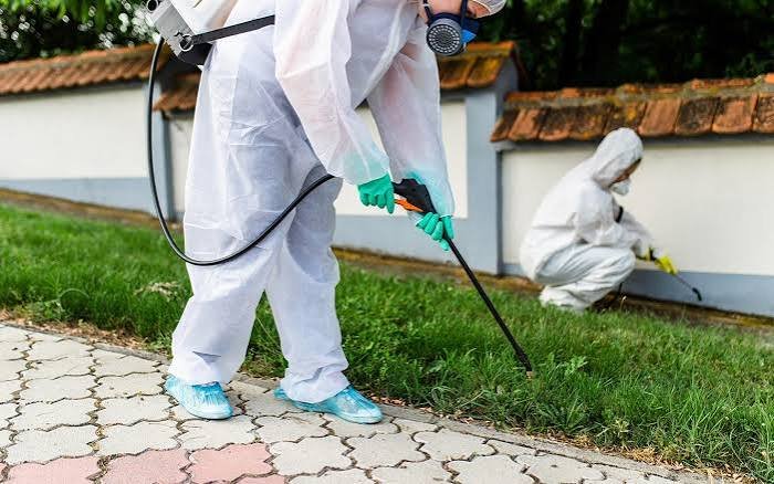 فحص ومعالجة مشاكل الصرف والحشرات في الرياض